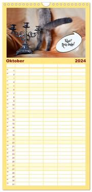 Familienplaner 2024 - Lustiger Katzenkalender mit 5 Spalten (Wandkalender, 21 x 45 cm) CALVENDO - Abbildung 11