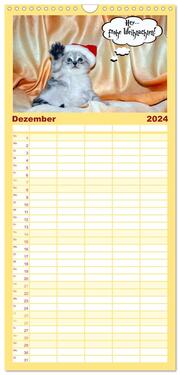 Familienplaner 2024 - Lustiger Katzenkalender mit 5 Spalten (Wandkalender, 21 x 45 cm) CALVENDO - Abbildung 13