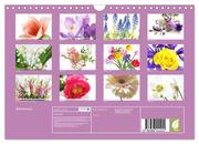 Blumenlust (Wandkalender 2024 DIN A4 quer), CALVENDO Monatskalender - Abbildung 1