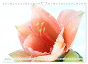 Blumenlust (Wandkalender 2024 DIN A4 quer), CALVENDO Monatskalender - Abbildung 3