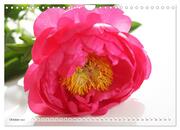 Blumenlust (Wandkalender 2024 DIN A4 quer), CALVENDO Monatskalender - Abbildung 12