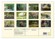 Glückliche Frösche (hochwertiger Premium Wandkalender 2024 DIN A2 quer), Kunstdruck in Hochglanz - Abbildung 1