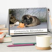 Germanische Bärenbabys (Tischkalender 2024 DIN A5 quer), CALVENDO Monatskalender - Abbildung 2