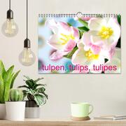 Tulpen, Tulips, Tulipes (Wandkalender 2024 DIN A4 quer), CALVENDO Monatskalender - Abbildung 2