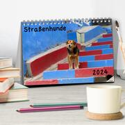 Straßenhunde 2024 (Tischkalender 2024 DIN A5 quer), CALVENDO Monatskalender - Abbildung 2