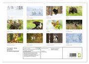 Finnland: eine tierische Entdeckungsreise (hochwertiger Premium Wandkalender 2024 DIN A2 quer), Kunstdruck in Hochglanz - Abbildung 1