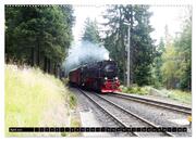 Dampf am Brocken - Die Harzquerbahn (Wandkalender 2024 DIN A2 quer), CALVENDO Monatskalender - Abbildung 6