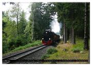 Dampf am Brocken - Die Harzquerbahn (Wandkalender 2024 DIN A2 quer), CALVENDO Monatskalender - Abbildung 7
