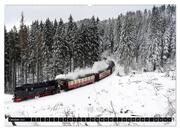 Dampf am Brocken - Die Harzquerbahn (Wandkalender 2024 DIN A2 quer), CALVENDO Monatskalender - Abbildung 12