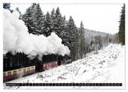 Dampf am Brocken - Die Harzquerbahn (Wandkalender 2024 DIN A2 quer), CALVENDO Monatskalender - Abbildung 13