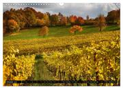 Faszination Pfalz (Wandkalender 2024 DIN A3 quer), CALVENDO Monatskalender - Abbildung 12