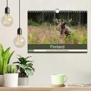 Finnland: eine tierische Entdeckungsreise (Wandkalender 2024 DIN A4 quer), CALVENDO Monatskalender - Abbildung 2
