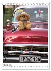 Travelling Teddy Kuba Edition 2024 (Tischkalender 2024 DIN A5 hoch), CALVENDO Monatskalender - Abbildung 4