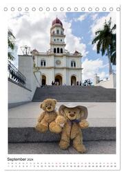 Travelling Teddy Kuba Edition 2024 (Tischkalender 2024 DIN A5 hoch), CALVENDO Monatskalender - Abbildung 11