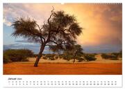 Bäume in Namibias Landschaften (hochwertiger Premium Wandkalender 2024 DIN A2 quer), Kunstdruck in Hochglanz - Illustrationen 2