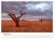 Bäume in Namibias Landschaften (hochwertiger Premium Wandkalender 2024 DIN A2 quer), Kunstdruck in Hochglanz - Illustrationen 10