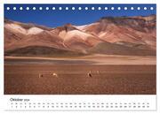Das bolivianische Hochland (Tischkalender 2024 DIN A5 quer), CALVENDO Monatskalender - Illustrationen 12