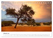 Bäume in Namibias Landschaften (Tischkalender 2024 DIN A5 quer), CALVENDO Monatskalender - Illustrationen 3