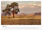 Bäume in Namibias Landschaften (Tischkalender 2024 DIN A5 quer), CALVENDO Monatskalender - Illustrationen 5