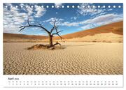 Bäume in Namibias Landschaften (Tischkalender 2024 DIN A5 quer), CALVENDO Monatskalender - Illustrationen 6