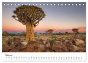 Bäume in Namibias Landschaften (Tischkalender 2024 DIN A5 quer), CALVENDO Monatskalender - Illustrationen 7