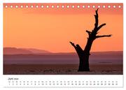 Bäume in Namibias Landschaften (Tischkalender 2024 DIN A5 quer), CALVENDO Monatskalender - Illustrationen 8
