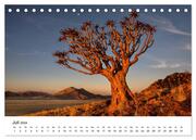 Bäume in Namibias Landschaften (Tischkalender 2024 DIN A5 quer), CALVENDO Monatskalender - Illustrationen 9