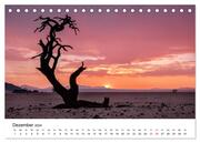 Bäume in Namibias Landschaften (Tischkalender 2024 DIN A5 quer), CALVENDO Monatskalender - Illustrationen 14