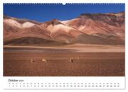 Das bolivianische Hochland (Wandkalender 2024 DIN A2 quer), CALVENDO Monatskalender - Illustrationen 12