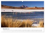 Das bolivianische Hochland (Wandkalender 2024 DIN A2 quer), CALVENDO Monatskalender - Illustrationen 13