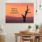 Bäume in Namibias Landschaften (Wandkalender 2024 DIN A2 quer), CALVENDO Monatskalender - Illustrationen 2