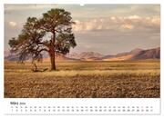 Bäume in Namibias Landschaften (Wandkalender 2024 DIN A2 quer), CALVENDO Monatskalender - Illustrationen 5