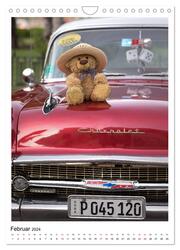 Travelling Teddy Kuba Edition 2024 (Wandkalender 2024 DIN A4 hoch), CALVENDO Monatskalender - Abbildung 4