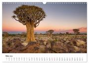 Bäume in Namibias Landschaften (Wandkalender 2024 DIN A3 quer), CALVENDO Monatskalender - Illustrationen 7