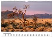 Bäume in Namibias Landschaften (Wandkalender 2024 DIN A3 quer), CALVENDO Monatskalender - Illustrationen 13
