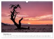 Bäume in Namibias Landschaften (Wandkalender 2024 DIN A3 quer), CALVENDO Monatskalender - Illustrationen 14