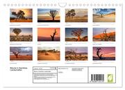 Bäume in Namibias Landschaften (Wandkalender 2024 DIN A4 quer), CALVENDO Monatskalender - Illustrationen 1