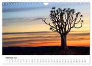 Bäume in Namibias Landschaften (Wandkalender 2024 DIN A4 quer), CALVENDO Monatskalender - Illustrationen 4