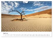 Bäume in Namibias Landschaften (Wandkalender 2024 DIN A4 quer), CALVENDO Monatskalender - Illustrationen 6