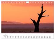 Bäume in Namibias Landschaften (Wandkalender 2024 DIN A4 quer), CALVENDO Monatskalender - Illustrationen 8