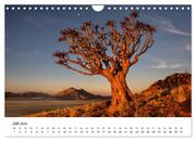 Bäume in Namibias Landschaften (Wandkalender 2024 DIN A4 quer), CALVENDO Monatskalender - Illustrationen 9