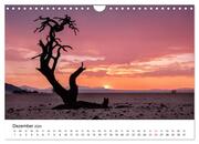 Bäume in Namibias Landschaften (Wandkalender 2024 DIN A4 quer), CALVENDO Monatskalender - Illustrationen 14