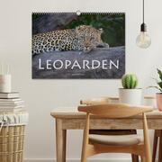 Leoparden - groß und klein (Wandkalender 2024 DIN A3 quer), CALVENDO Monatskalender - Abbildung 2