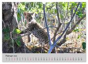 Leoparden - groß und klein (Wandkalender 2024 DIN A3 quer), CALVENDO Monatskalender - Abbildung 4