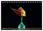 Liquid Art, Faszination Tropfenfotografie (Tischkalender 2024 DIN A5 quer), CALVENDO Monatskalender - Abbildung 14
