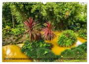 Terra Nostra Garten - ein botanisches Juwel auf den Azoren (Wandkalender 2024 DIN A3 quer), CALVENDO Monatskalender - Abbildung 4