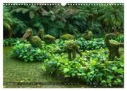 Terra Nostra Garten - ein botanisches Juwel auf den Azoren (Wandkalender 2024 DIN A3 quer), CALVENDO Monatskalender - Abbildung 12