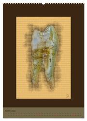 Zähne auf Leinwand (hochwertiger Premium Wandkalender 2024 DIN A2 hoch), Kunstdruck in Hochglanz - Abbildung 5