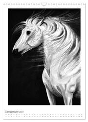 Das Pferd - Das Kunstwerk (Wandkalender 2024 DIN A3 hoch), CALVENDO Monatskalender - Abbildung 11