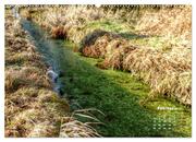 Bilder aus dem schönen Harz (Wandkalender 2024 DIN A2 quer), CALVENDO Monatskalender - Abbildung 4